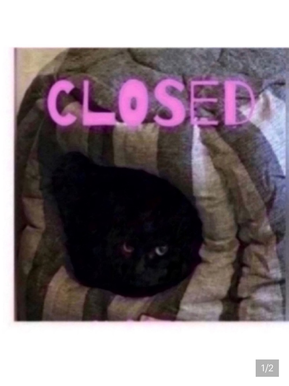 CLOsED 🐈‍⬛Pillows pick 5